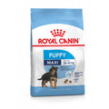 Nourriture Royal Canin Maxi Puppy Petit/Junior Poulet Riz Légumes 15 kg