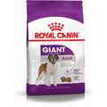 Nourriture Royal Canin Giant Adult Adulte Poulet Oiseaux 15 kg