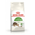Aliments pour chat Royal Canin Active Life Outdoor Adulte Poulet Oiseaux 4 Kg