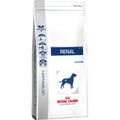 Nourriture Royal Canin Renal Adulte Poulet Oiseaux 2 Kg