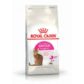 Aliments pour chat Royal Canin Savour Exigent Adulte Poulet Riz Maïs Légumes Oiseaux 2 Kg