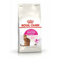 Aliments pour chat Royal Canin Feline Savour Exigent 4kg Adulte Poulet 4 Kg