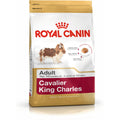 Nourriture Royal Canin Cavalier King Charles Adulte Poulet 1,5 Kg