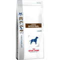 Nourriture Royal Canin Gastro Intestinal Adulte Riz Oiseaux 2 Kg