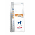 Nourriture Royal Canin Adulte Riz Oiseaux 12 kg