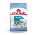 Nourriture Royal Canin Mini Puppy Petit/Junior Poulet Riz Oiseaux 2 Kg