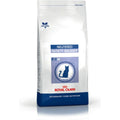 Aliments pour chat Royal Canin Adulte Poulet 1,5 Kg