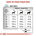 Nourriture Royal Canin Adulte Viande Oiseaux 3 Kg