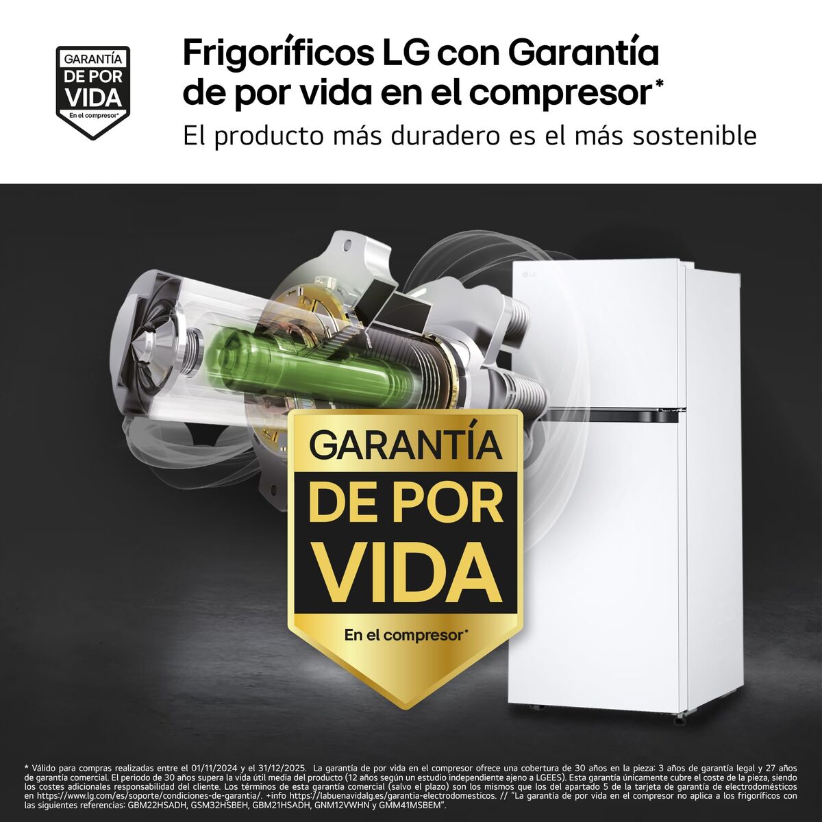 Réfrigérateur Combiné LG GTBV22SWNJ Blanc