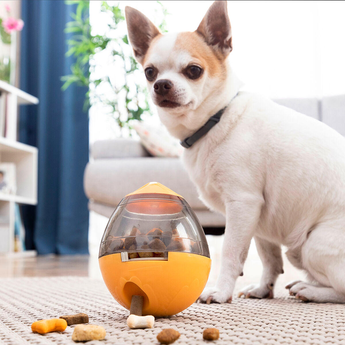 Jouet Distributeur de Friandises pour Animaux2 en 1 Petyt InnovaGoods